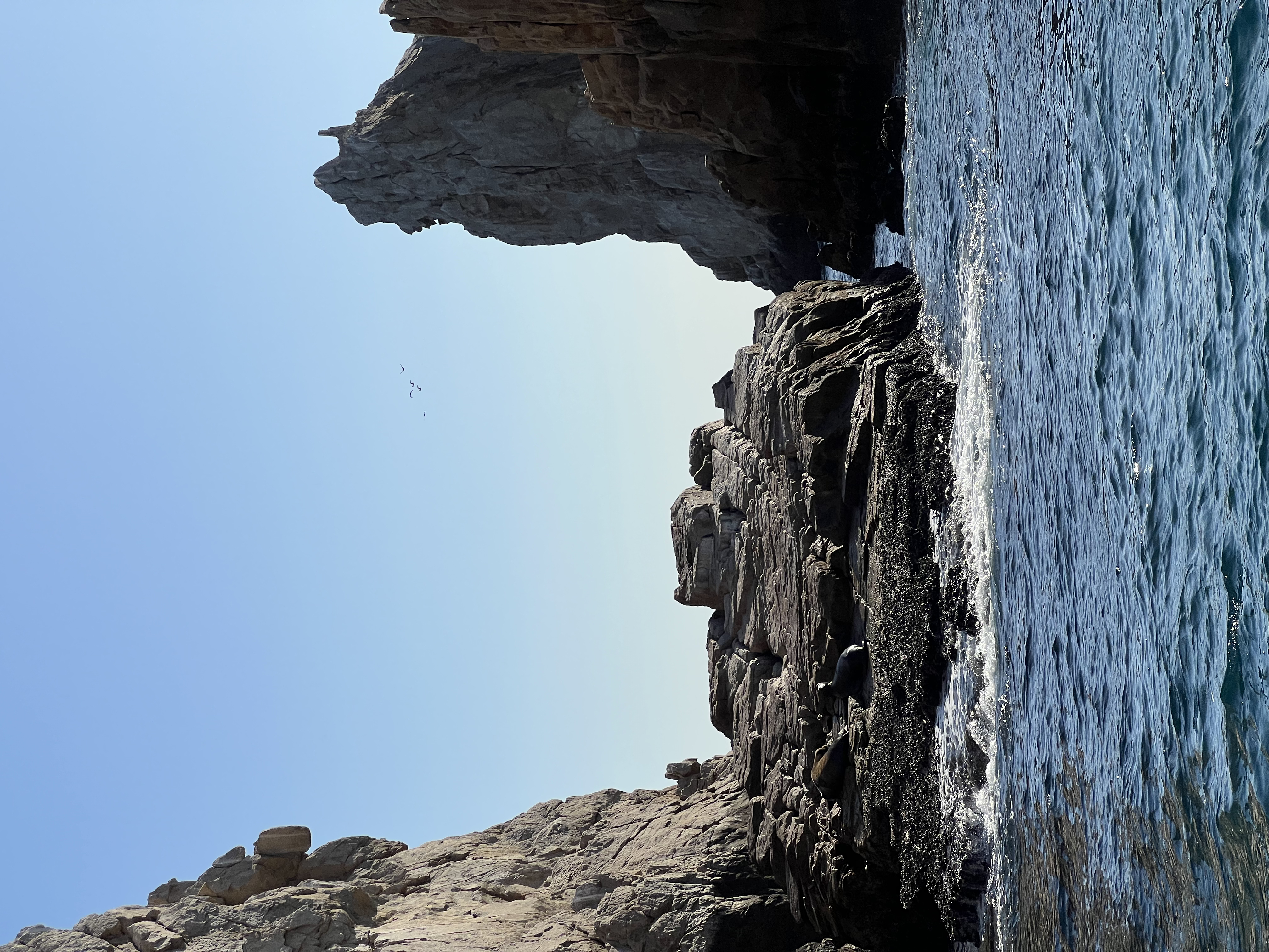 ./2024/13 - Cabo/IMG_4647.jpg